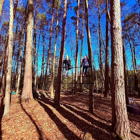 Holiday home Blockhuette Im Wald In Der Eifel *