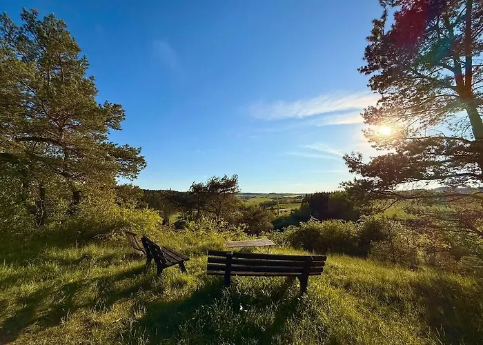 Blockhuette Im Wald In Der Eifel